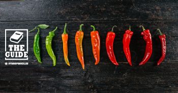 Chillies: what is the Scoville spiciness scale?